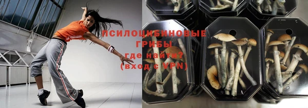 PSILOCYBIN Алексин