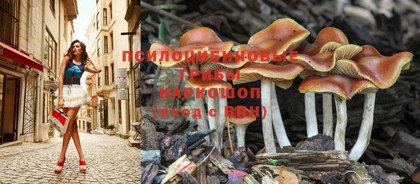 спайс Алзамай