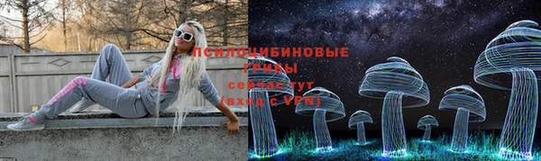 PSILOCYBIN Алексин