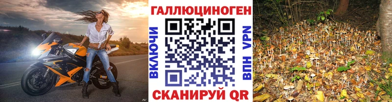 Псилоцибиновые грибы GOLDEN TEACHER  Ливны 
